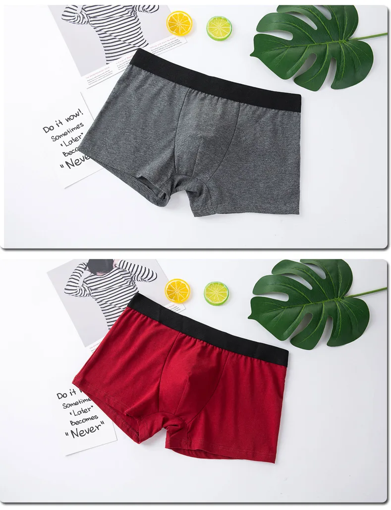 Men's underwear solid color cotton underpants male casual boxer man shorts pants men big size panties