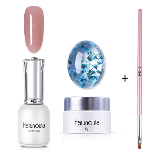 3Pcs Set2 Harunouta цветочный УФ гель сушеные цветы желе розовый дизайн ногтей гель лак инструмент, кисточка для ногтей 3D DIY Дизайн ногтей маникюрный набор - Цвет: 3Pcs Set2