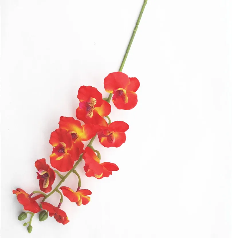 Орхидея Фаленопсис 10 крем для головы/оранжевый/ярко розовый/фуксия светильник