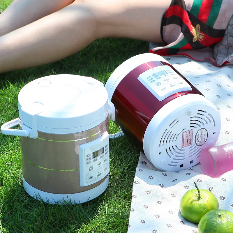 

12V 24V Mini Rice Cooker Car Truck Soup Porridge Cooking Machine Food Steamer Electric Heating Lunch Box Meal Heater Warmer