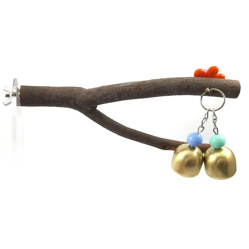 Сырой древесины попугай стойки сырой ветви дерева вилка птица стоящий кадр