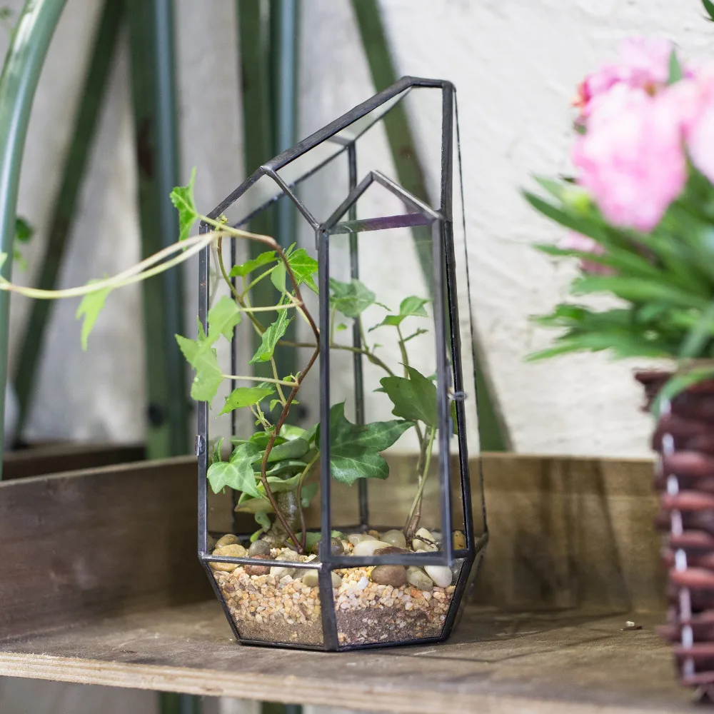 Ogród NCYP Nieregularna szklana doniczka Kryty stołowy Geometryczne terrarium Pojemnik na sukulenty Sadzarka ogrodowa z doniczką drzwi