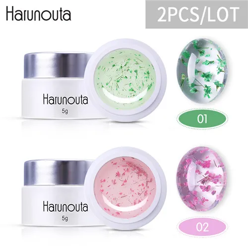 2pcs set2 Harunouta 2 шт Цветочный Гель-лак УФ замачиваемый гель для ногтей фея 3D Дизайн Лак высушенный цветок для ногтей художественное украшение маникюрный лак - Цвет: 2pcs set2