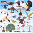 Миниатюрная фигурка птицы Oenux, Имитационные птицы, попугай, фламинго, Орел, из ПВХ, экшн-фигурки, игрушка для детей, подарок