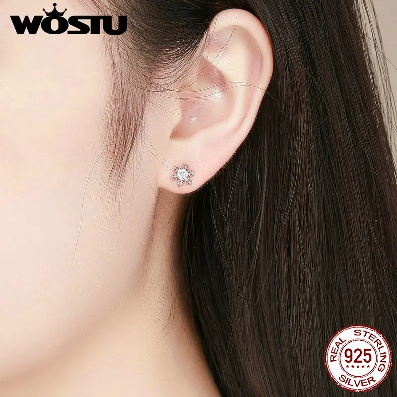 WOSTU оригинальные новые 925 пробы Серебряные Элегантные серьги-гвоздики со снежинками для женщин бренд S925 Серебряные модные ювелирные изделия DAE009
