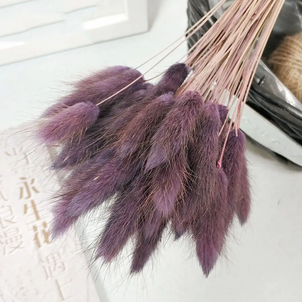Gradient Purple 30 шт./лот, градиентный букет из натуральных сушеных цветов с изображением лагуруса оватуса, свадебные украшения для дома, Кролик хвост, трава, настоящие цветы - Цвет: Gradient Purple