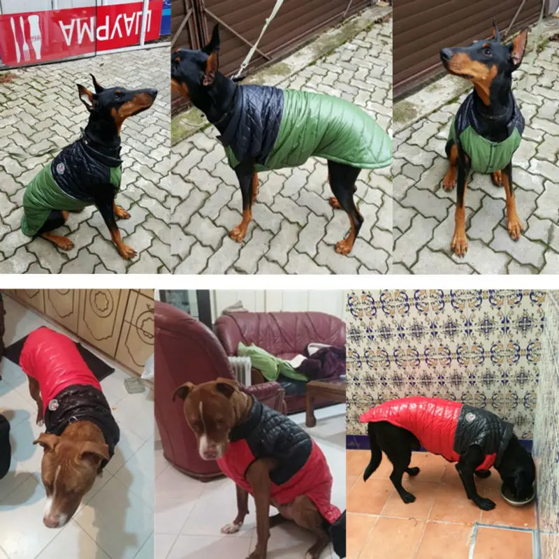 Большая большая зимняя куртка для собаки одежда водонепроницаемая большого