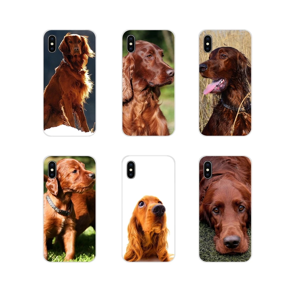 Для Apple iPhone X XR XS MAX 4 4S 5 5S 5C SE 6 6S 7 8 Plus ipod touch Irish Setter аксессуары для собак чехлы