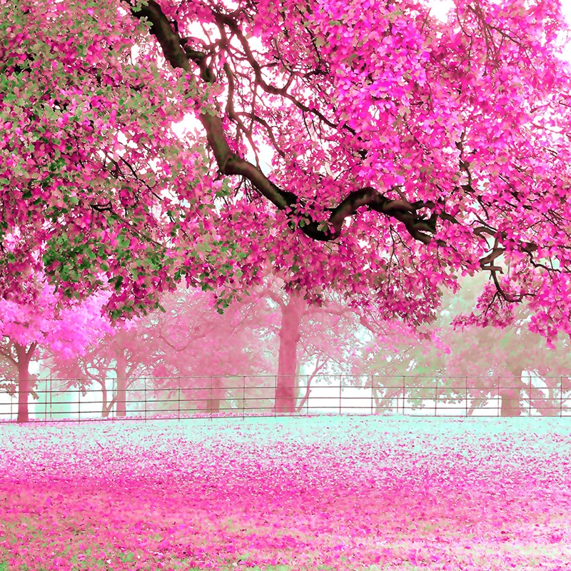 Настенные 3D обои для гостиной спальни украшения дома|wallpapers for|wallpaper for wallswallpaper walls