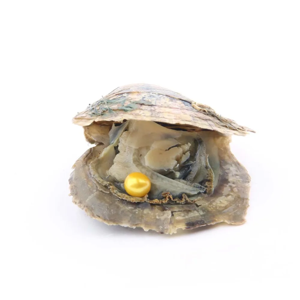 10 шт. Akoya Pearl Oyster культивированный летний цвет Love Wish Oysters с 7 8 мм круглый жемчуг