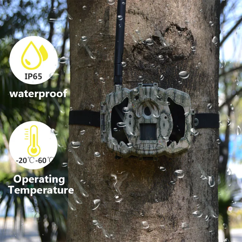 Bolyguard 3g охотничья камера 30MP 940nm IR ночного видения 100ft Скаут Дикая камера фото ловушка камера caza fotolovuska(G