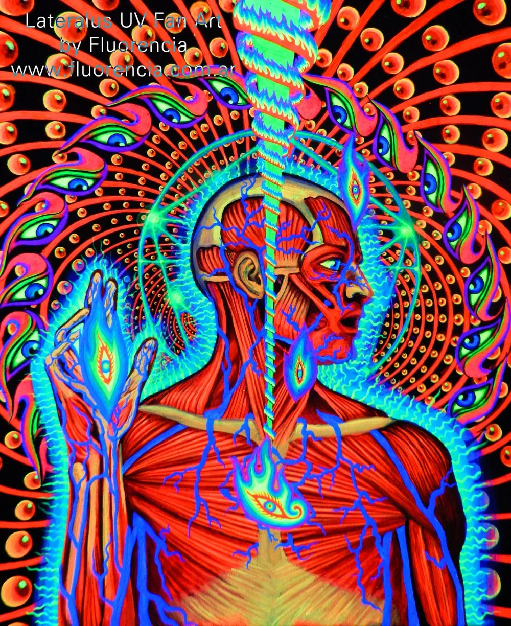 Горячая Распродажа Custom Alex Grey Oversoul плакат новые красивые принты высокое качество