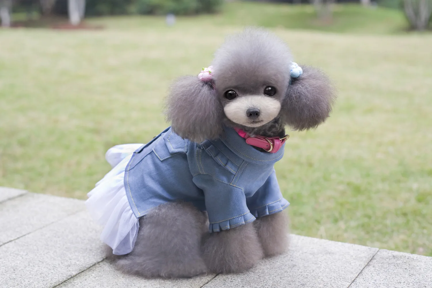 Пэт Круг Горячая Продажа Pet Products Собака Кошка Юбка одежда Девушки Джинсовая Шифон