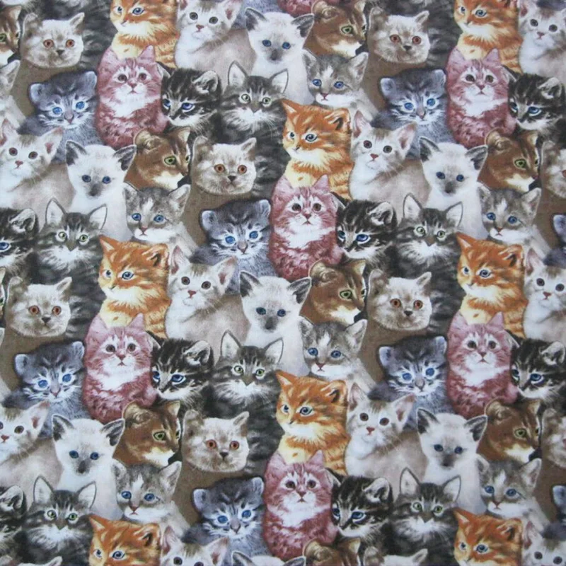 Ткань кошки купить. Ткань с кошками. Кошка набивная. Ткань с кошками Бавария. Цветная ткань с кошками фото.