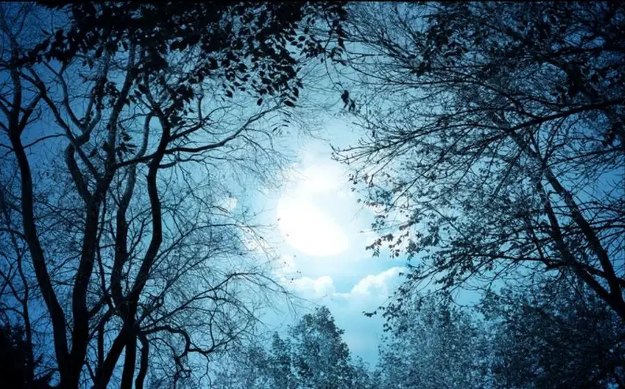 Индивидуальные Потолочные 3d обои фрески гостиная спальня фотообои потолок фон