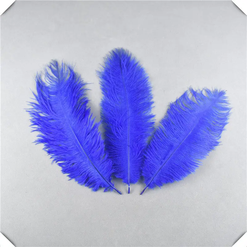 Royal Blue Красивые 10 шт./лот страусиные перья 25-30 см перья для поделок «сделай сам» принадлежности для свадебной вечеринки карнавальные украшения - Цвет: Royal Blue