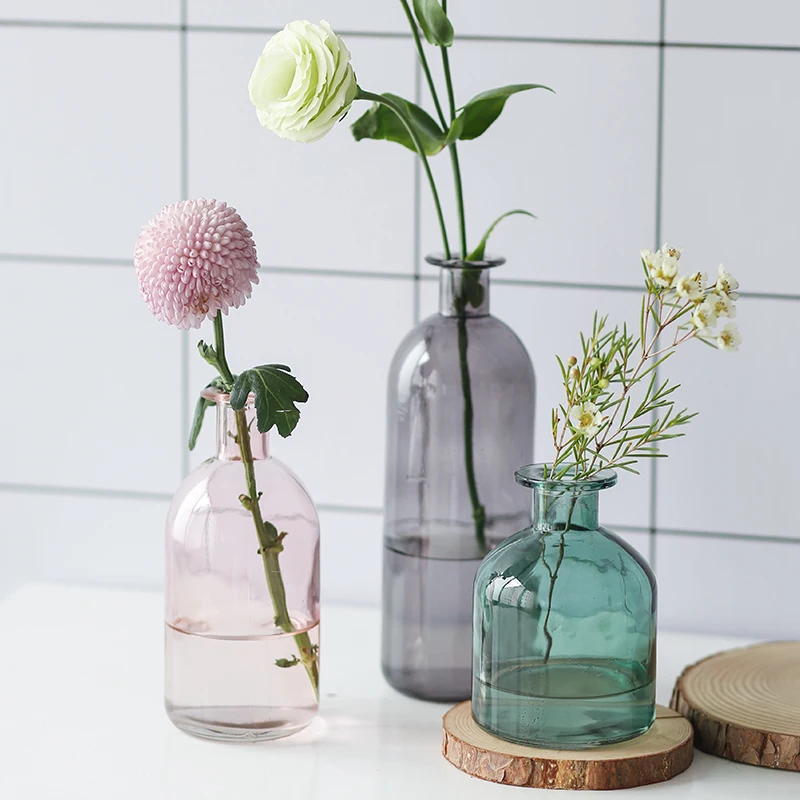 INS Small Mouth Glass Transparent Vase Nordic Wind Dried Flower Vases Japanese Home Wedding Decoration Colorful Flower Vases