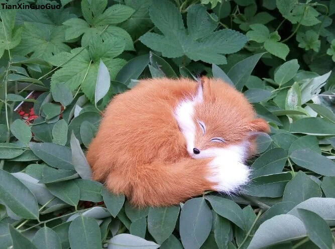 

simulation sleeping fox hard model prop about 14x10cm yellow furs fox ,home decoration toy gift s1509