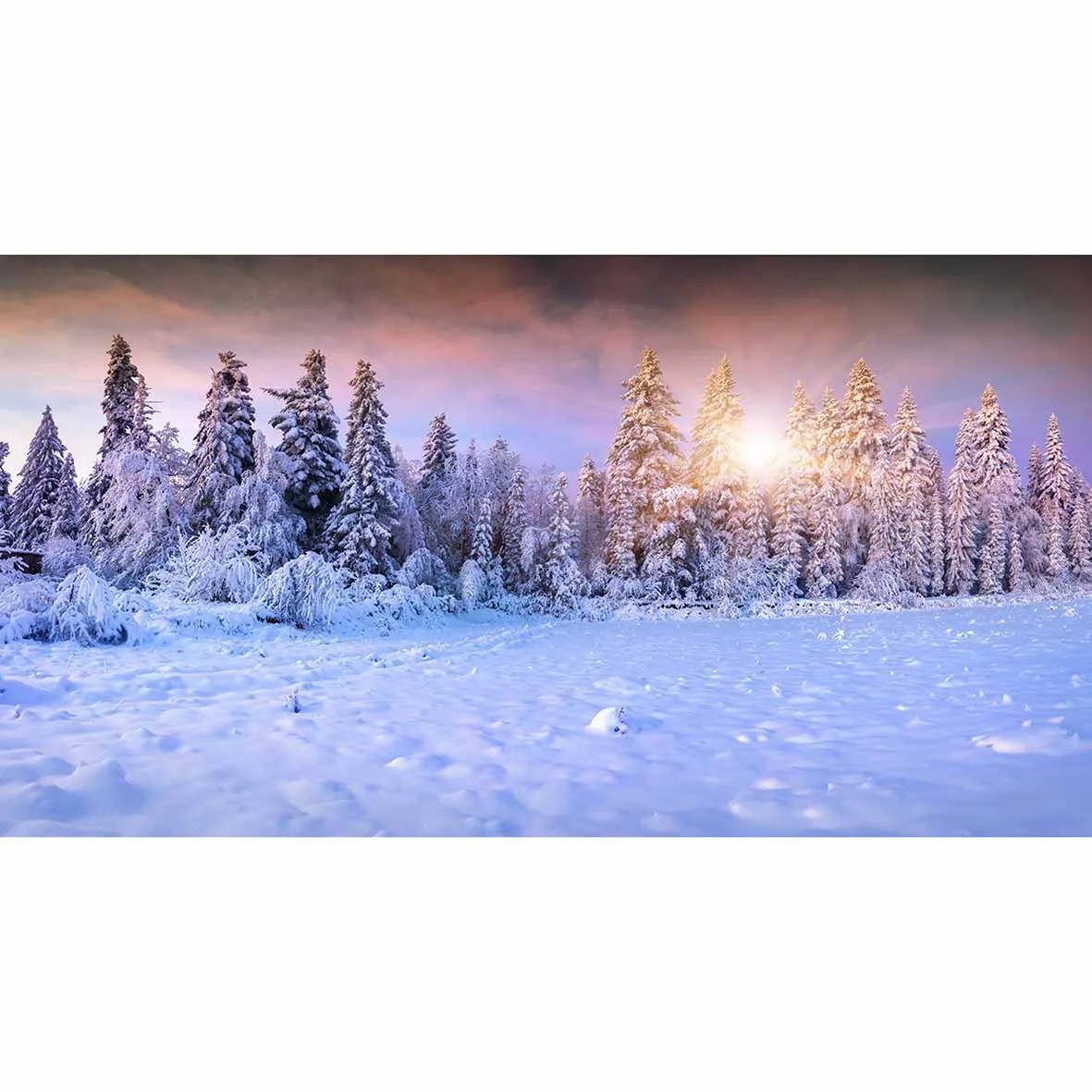 Allenjoy фон для фотосъемки новорожденных Зимний снег лес солнце прекрасная мечта