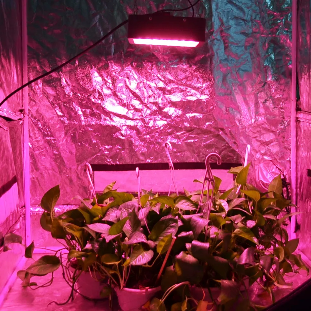600 Вт полный спектр Led Grow Light Mars Hydro Phyto лампа Growbox подвесная Крытая Высокая мощность