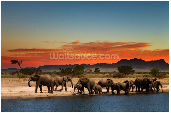 Custom natural landscape wallpaper African Elephants 3D cartoon mural for living room bedroom sofa backdrop waterproof | Строительство