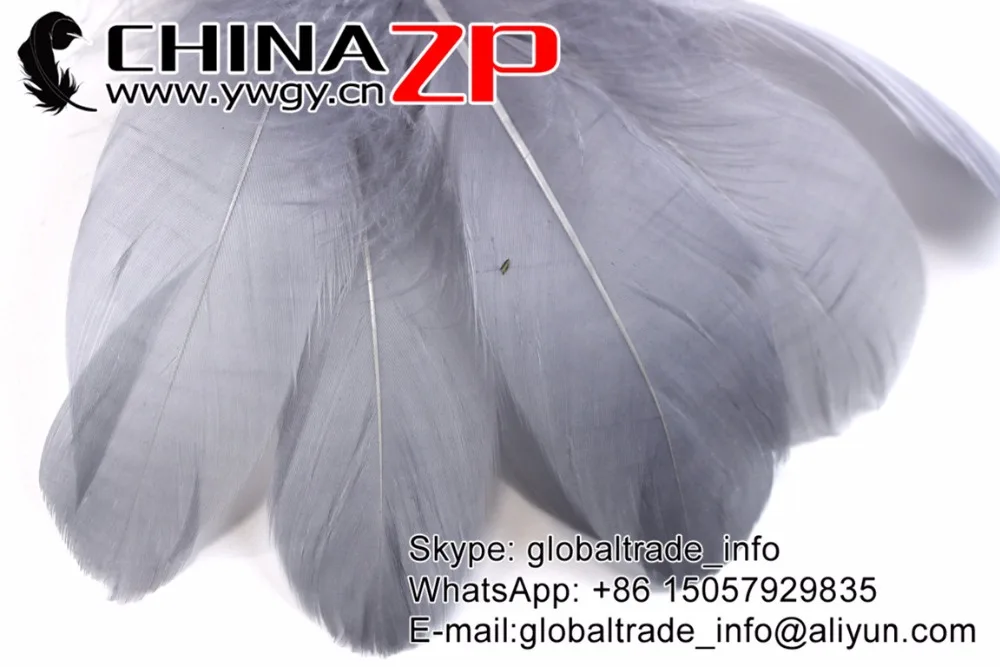 CHINAZP бесплатная доставка 200 шт./лот свободная пушистая окрашенная серая гусиная