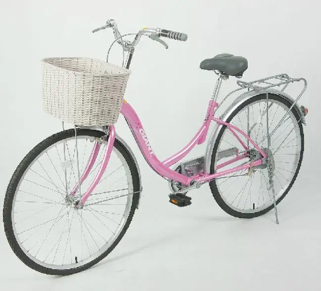 Легко носить с собой велосипедный велосипед Bicicleta многофункциональный дождь