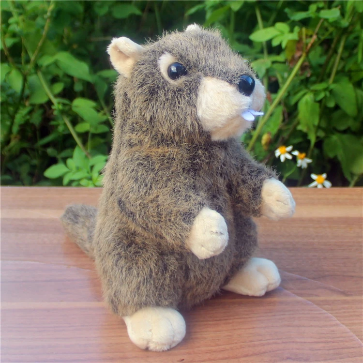 Новая имитация плюшевой игрушки Marmot высокое качество кукла подарок около 21 см 2803