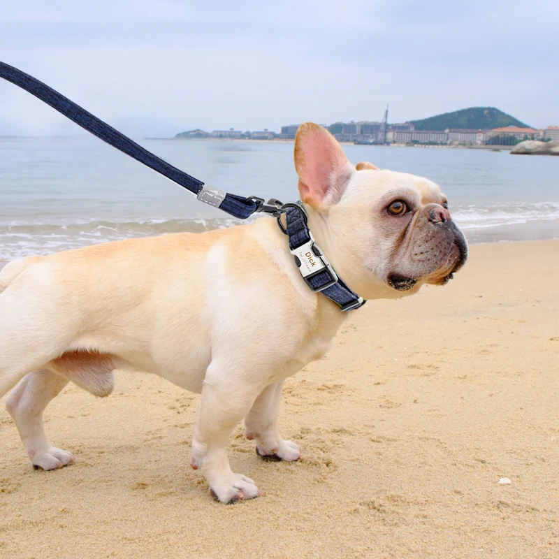 Крутой именной ошейник для собаки поводок щенка жгут рабочие отражающие поводки