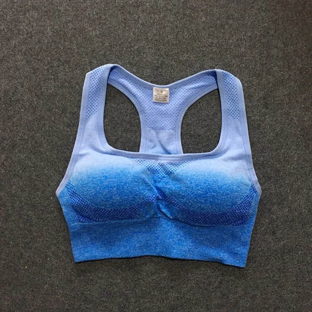 Blue Bra 2 шт., бесшовный комплект для йоги с эффектом омбре, комплекты для спортзала, женская одежда для спортзала, спортивный бюстгальтер+ леггинсы, Женская Спортивная одежда для спортзала, Женский костюм для фитнеса - Цвет: Blue Bra