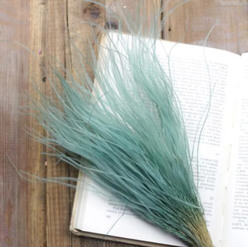 

15g/bundle Preserved Blue Slender Grass Flowers Feather For Craft Gift Material Accessory Decoration Flower Arranging DIY
