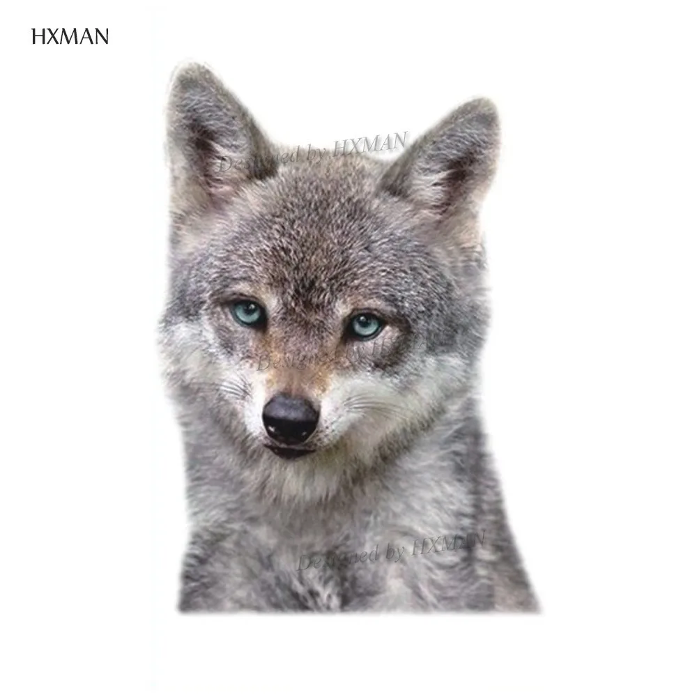 HXMAN, 12 шт./партия, кошка, животные, временная татуировка, наклейка для женщин, модная, боди-арт, водонепроницаемая, ручная, поддельная татуировка, 9,8X6 см, W12-37