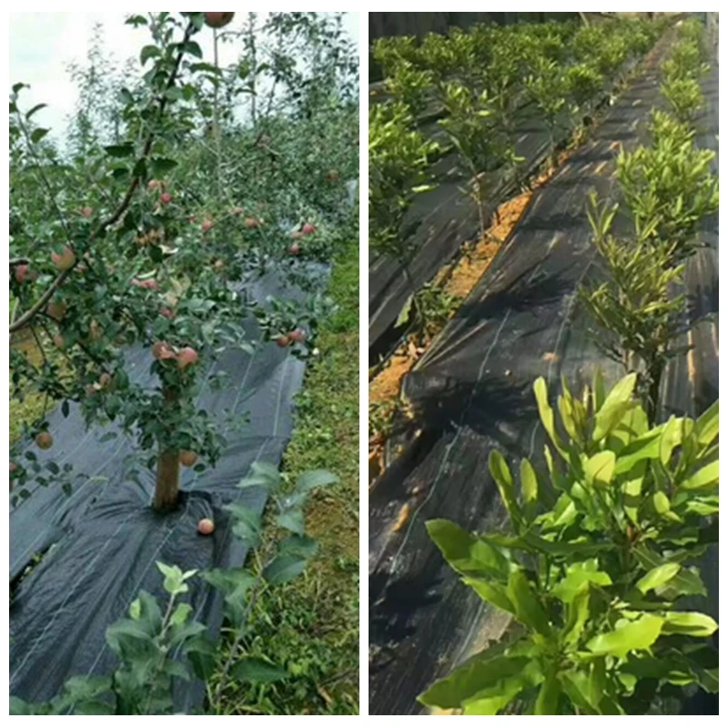 Сельскохозяйственная теплица для контроля сорняков длина 5 м садовая ткань