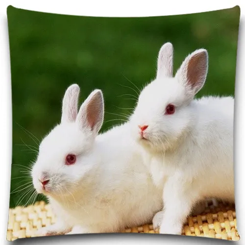 Квадратный чехол с изображением белого и серого кролика хлопковый декоративный
