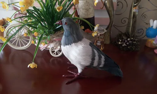 Simualtion голубь птичьи перья мир птица 22x18 см модель полиэтилен и мех смола