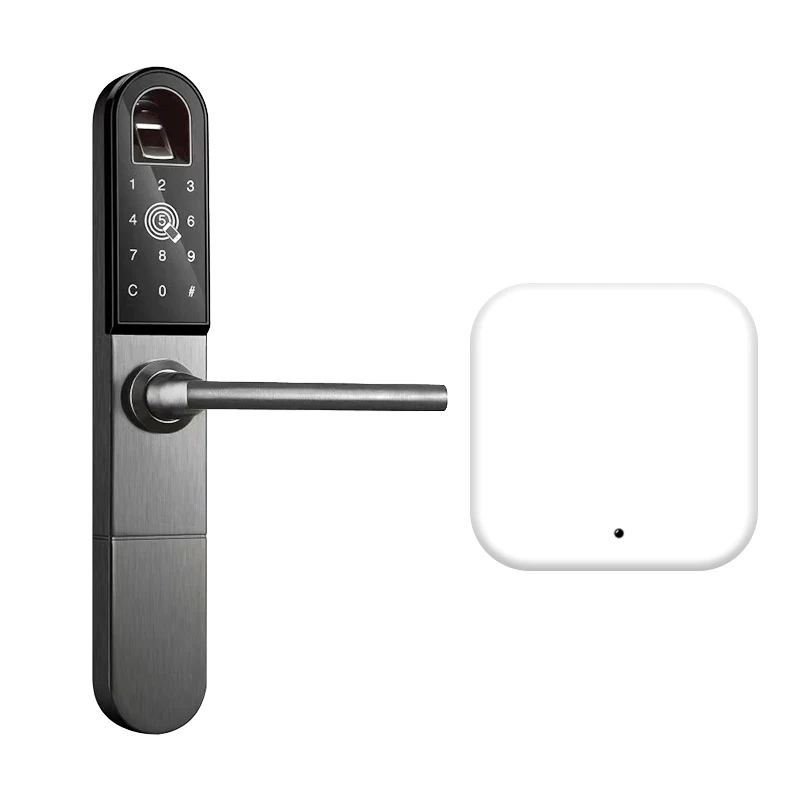 With Remote Control Eseye приложение Smart Двери Fingerprint Lock цифровой замок электронный двери блокировки Анти-Вор безопасности для Семья дома - Цвет: With Remote Control