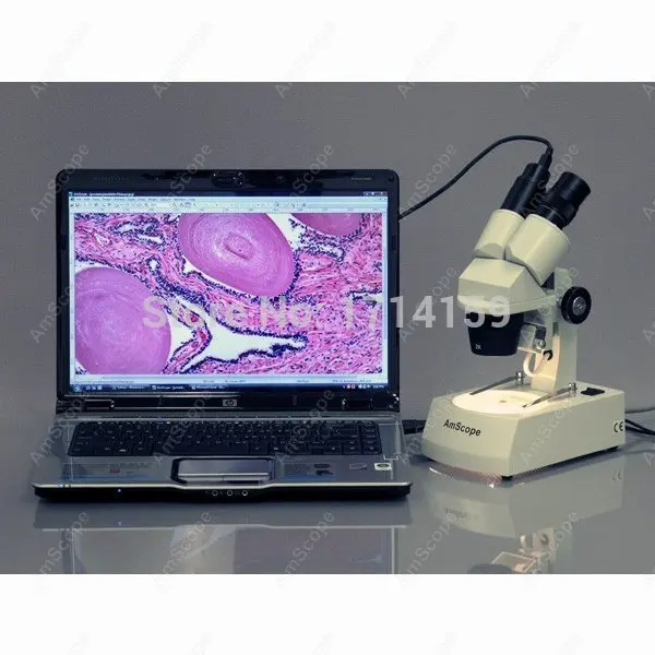 Student School Microscope-AmScope Supplies 20X-40X-80X Stereo Dissecting Microscope with 1.3MP USB Camera SE306-AZ-E1 | Инструменты