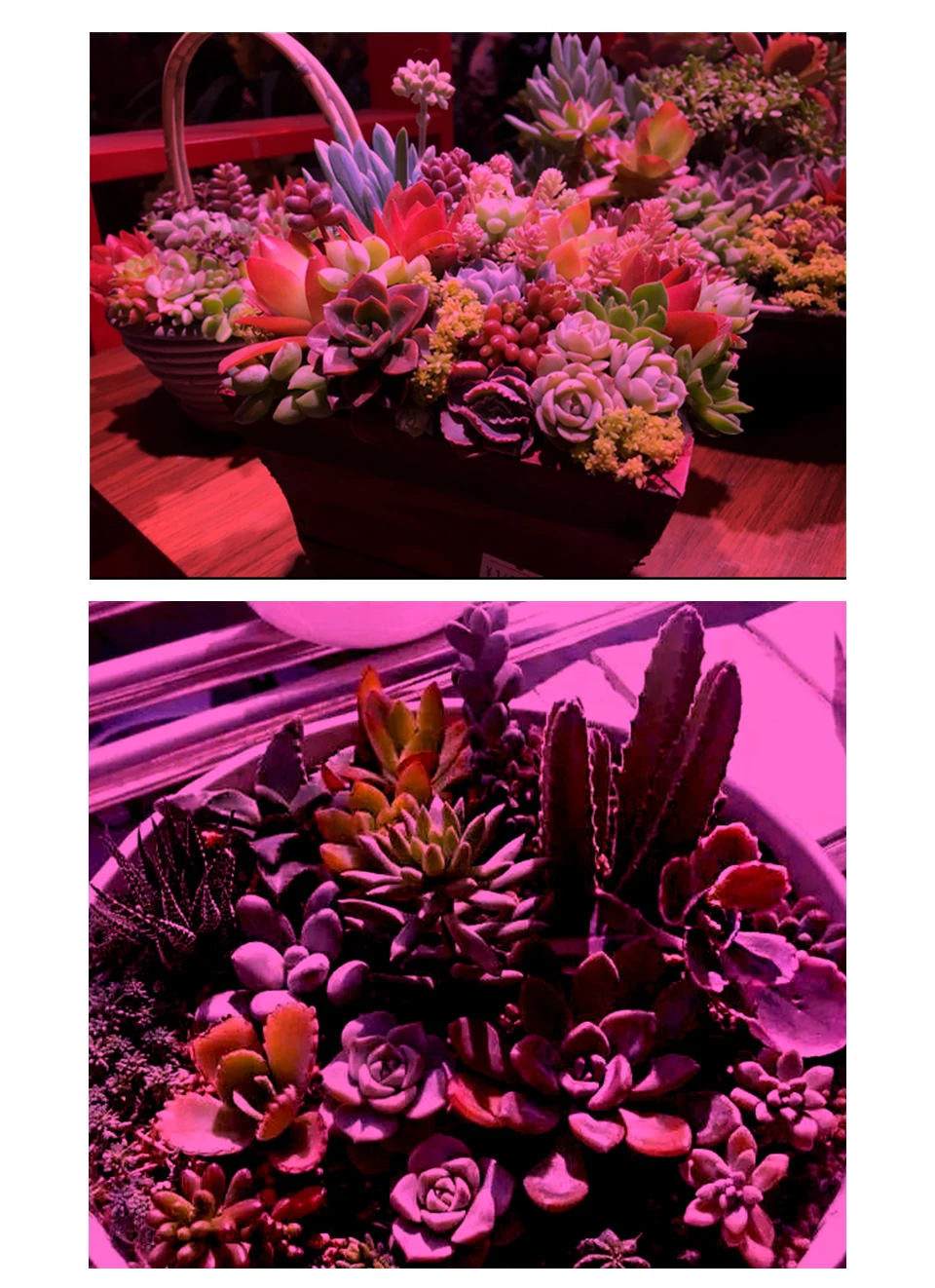 LED Grow Light Full Spectrum E27 Replacement Sunlight Phyto Growing Light for Plants Flowers AC 85-265V Clip-on Desk Grow Lamps