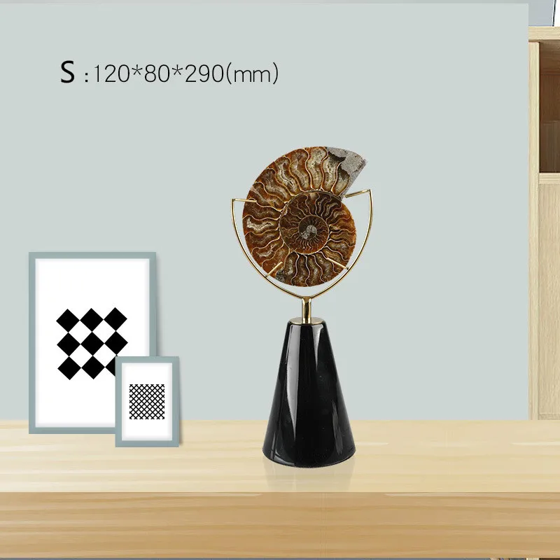 Скандинавские ископаемые украшения Nautilus из титанового золота и нержавеющей