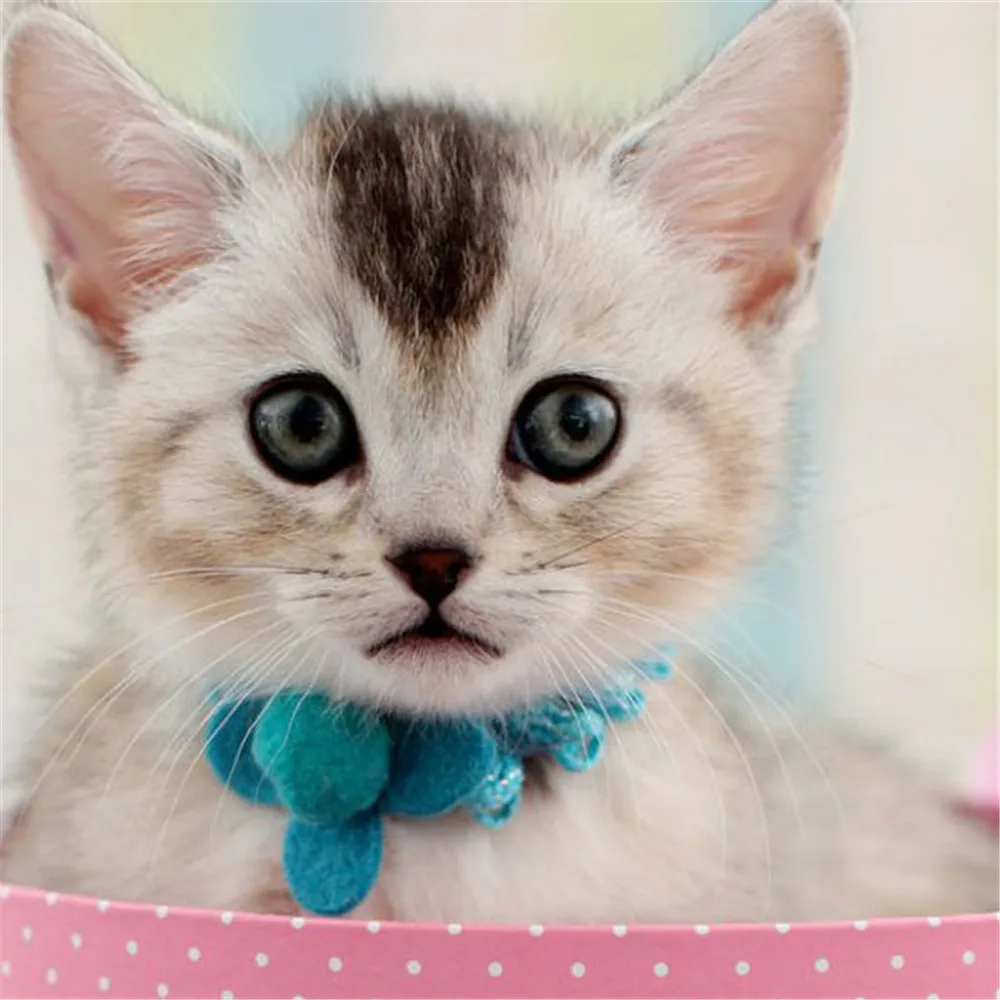 Детские летние платья для девочек милое новое платье с принтом кота