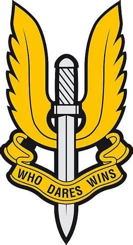 Британская армия S.A.S. SAS специальный воздушный сервис UKSF спецназ 3D крюк петля патч OPS значок
