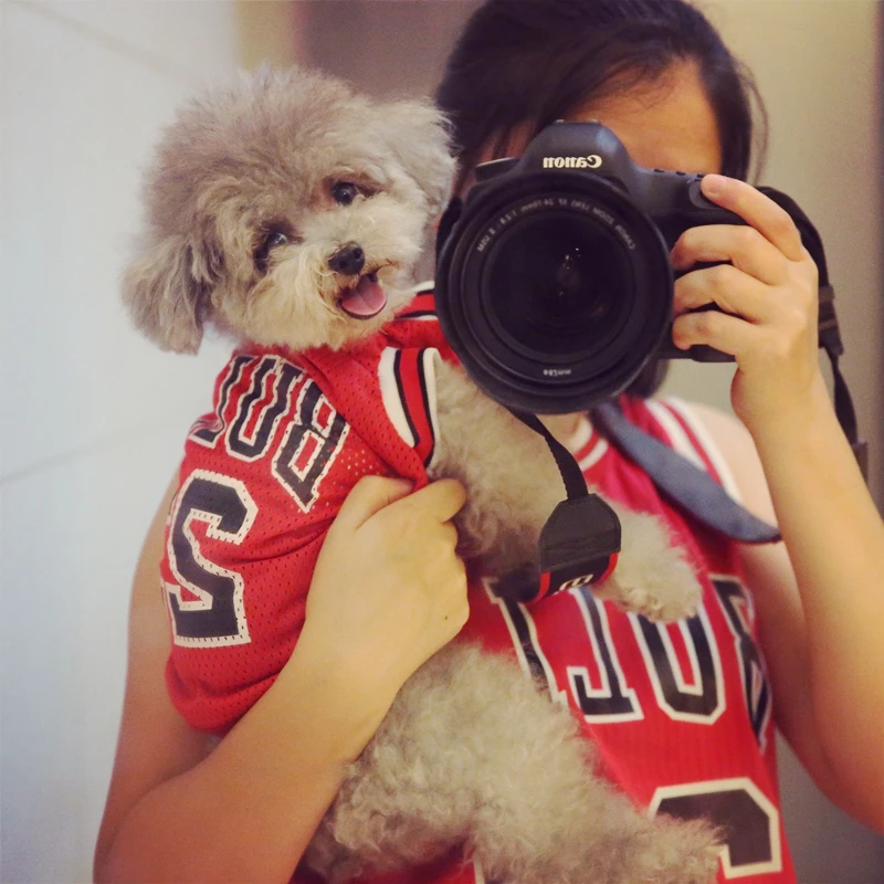 Сетчатый дышащий стильный спортивный жилет для щенков маленького размера размер