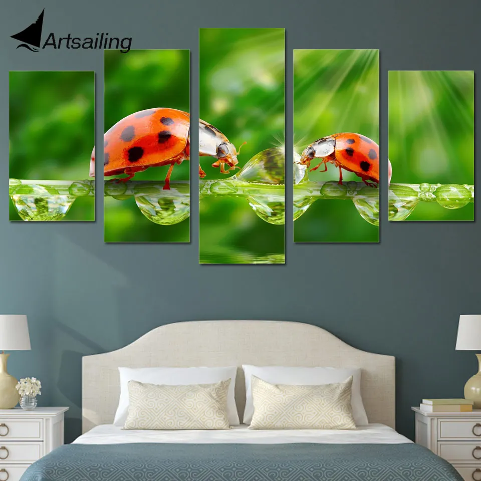 

HD 5 piece canvas Printed animal ladybird Painting Canvas room decor print poster framed painting Free shipping/ny-6143A