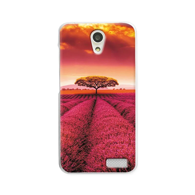 For Lenovo A319 S23 Чехол для телефона с пейзажем розы, чехол s Для lenovo A319, 4,5 дюймов, чехол для lenovo A319 A 319, Мягкая силиконовая задняя крышка a 319, Funda Capa - Цвет: For Lenovo A319 S23