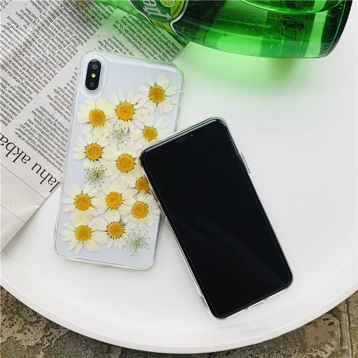 Настоящий высушенный цветок ромашка чехол для iPhone X Xs Max прозрачный мягкий Tpu 6 s 7 8