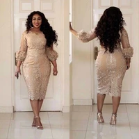 african champagne mother of the dresses jewel neck applique illusion 34 sleeve long sleeve evening gowns plus size mermaid pro
