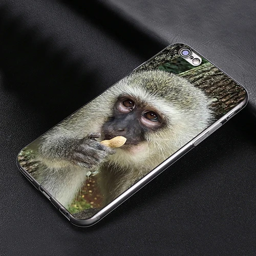 Monkey Orangutan Phone Case Cover for iPhone 6 7 Plus |