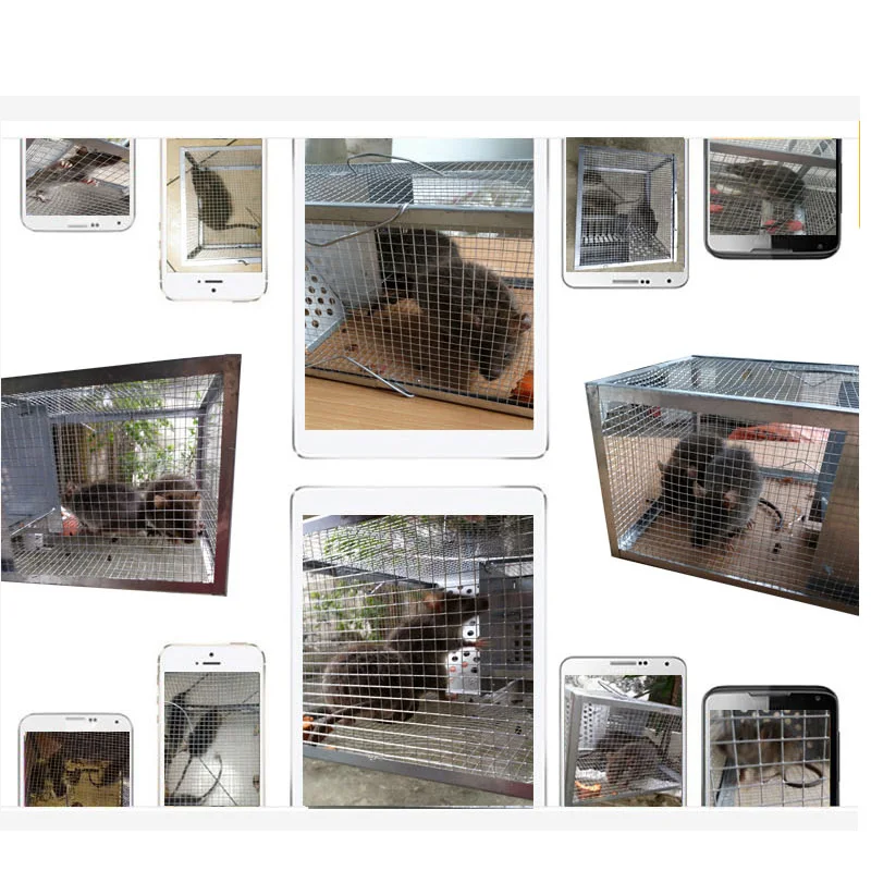 

Professional Reusable Bigger Rat Trap Cage Animal Pest Rodent Mice Mouse Bait Catch Capture