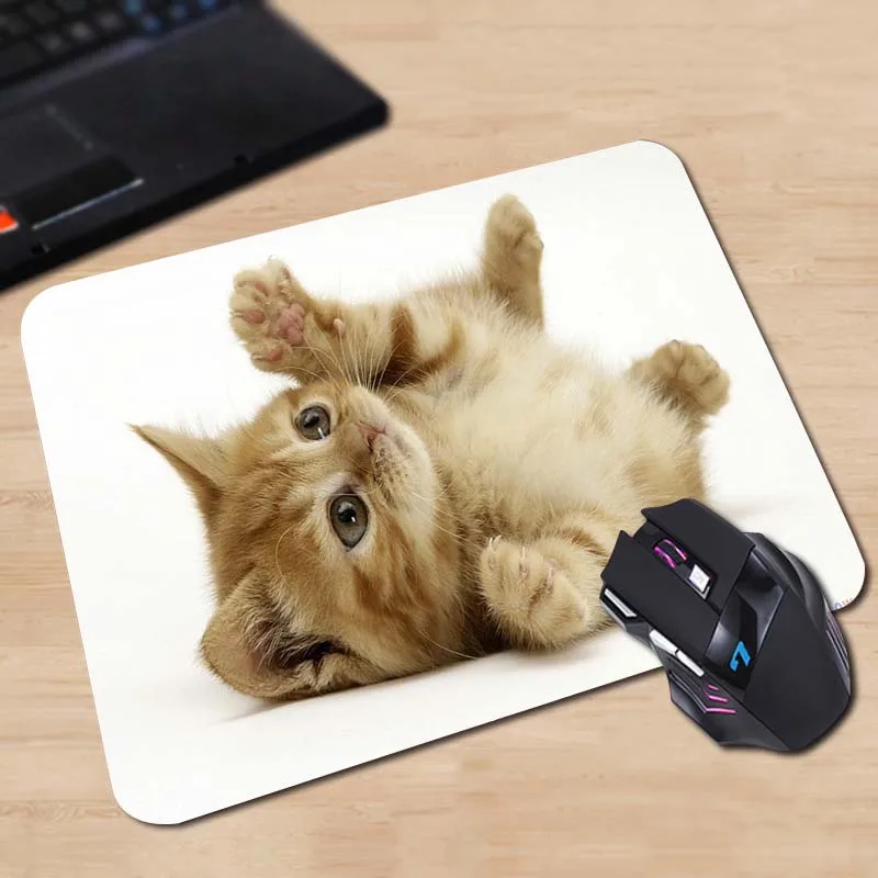 Сделайте свой собственный удивительный коврик для мыши Cutey светящийся котенок в