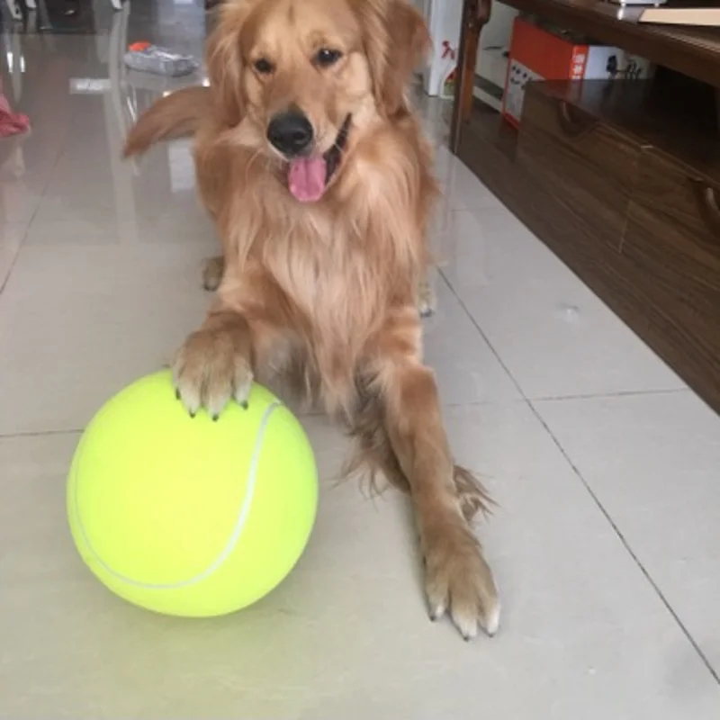 Большой размер большая игрушка для собаки мяч большого тенниса диаметр 24 см
